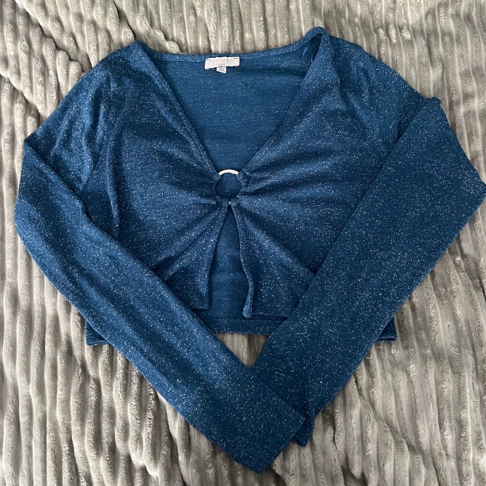 Sparkle Long Sleeve Blue Top